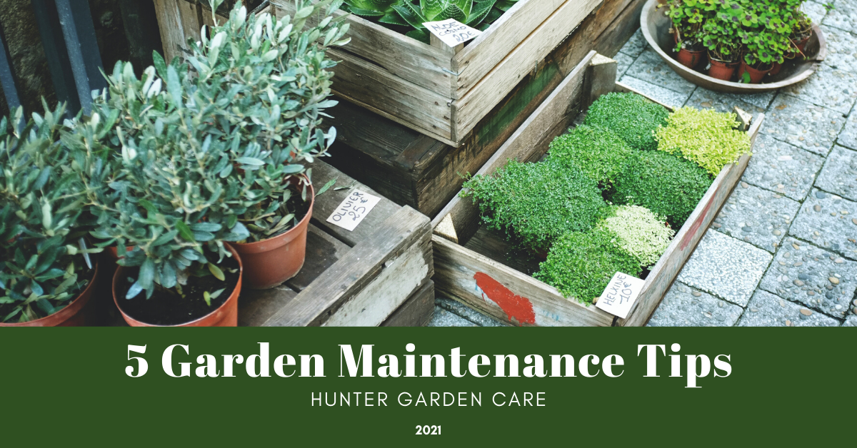 garden maintenance care tips 2021